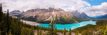 Peyto See Kanada