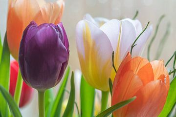 Vrolijk Pasen met een close up van frisse gekleurde tulpen van Jolanda de Jong-Jansen