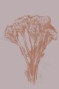 Pastel Botanicals. Plant in bruin en roze nr. 1 van Dina Dankers thumbnail
