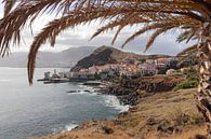 Coastal village Madeira by Map of Joy thumbnail