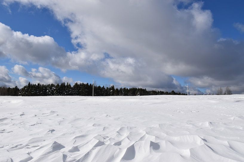 The effect of wind on snow in a field by Claude Laprise