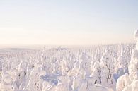 Magisch landschap in Fins Lapland van elma maaskant thumbnail