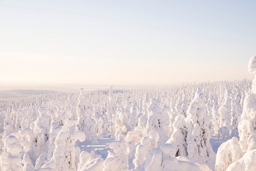 Magisch landschap in Fins Lapland van elma maaskant