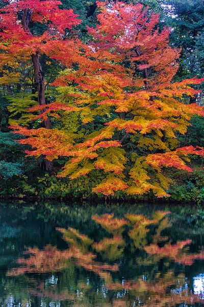Kenrokuen Garden; Kanazawa; Japan by Winne Köhn