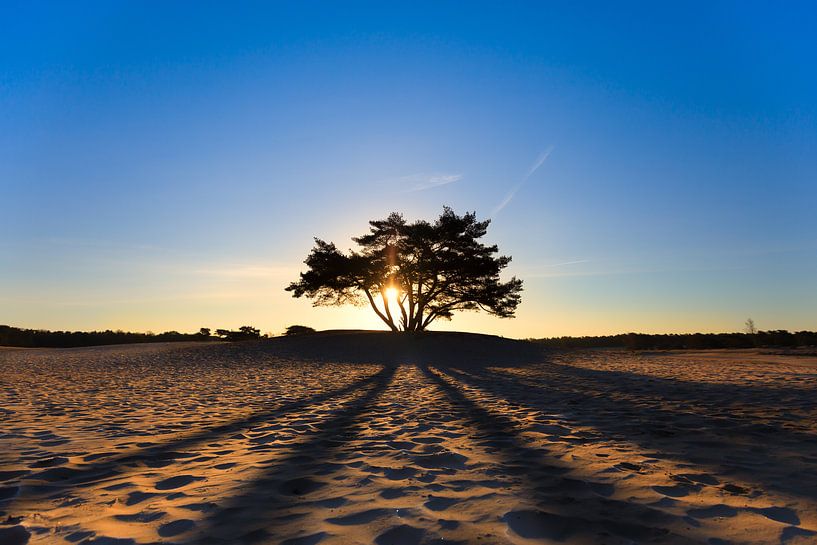 Zonsopkomst Soesterduinen  van Bart Verbrugge