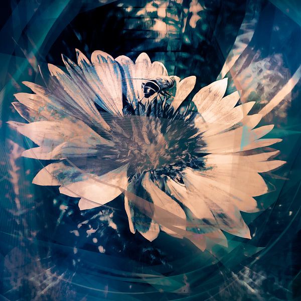 Observation d'un visiteur devant le Kokardebloem par Helga Blanke