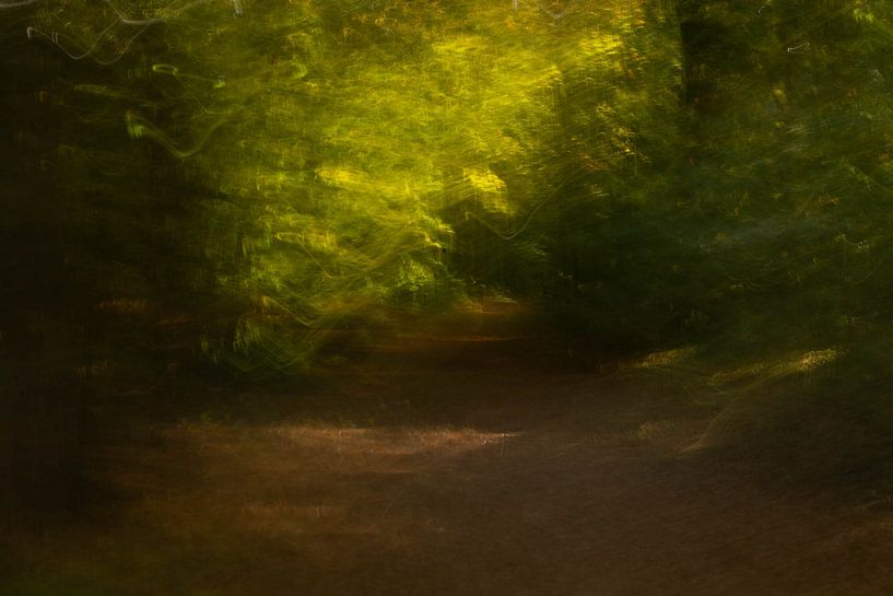 Autumn colours creative by Annet van Heijster