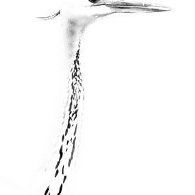Heron in black and white by Jan van der Knaap