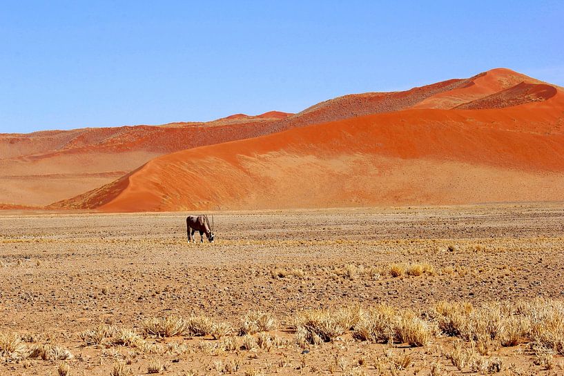 Sécheresse Namibie par Inge Hogenbijl