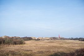 Schier by Mariska Nauta