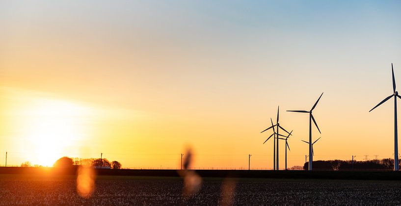 Avondlicht op Walcheren met windmolens by Percy's fotografie
