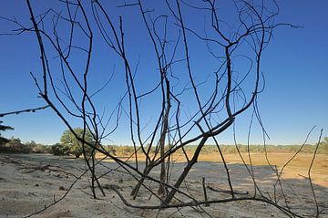 Natuurkunst 2 van Willem van Leuveren Fotografie