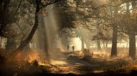 Die Natur genießen