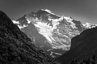 Berner Oberland in Schwarz und Weiß von Henk Meijer Photography Miniaturansicht