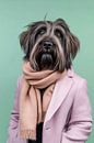 Briard von Poster Art Shop Miniaturansicht
