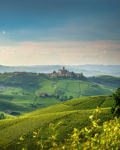 Die Langhe-Hügel und das Dorf Castiglione Falletto im Piemont