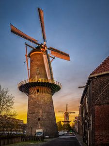 Molen 'De vrijheid' en 'De Noormolen' op de achtergrond van Luc de Zeeuw