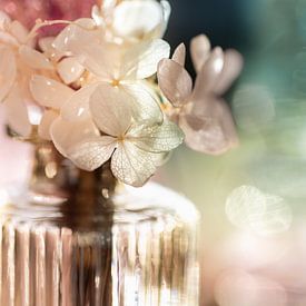 Hortensie in farbigem Glas von Patricia van Kuik