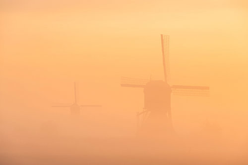 Lumière matinale néerlandaise – des moulins enveloppés d'une brume chaude