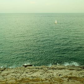 summer sail by Tina Hartung