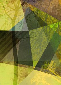 P24-2a Trees and Triangles