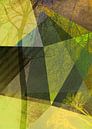 P24-2a Trees and Triangles van Pia Schneider thumbnail