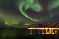 Northern Lights, Skulsfjord van Freek van den Driesschen thumbnail