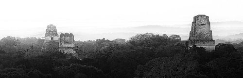 Tikal-Panorama in Schwarz-Weiß