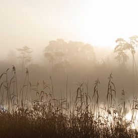Stille über dem Moor von Miranda Geerts Art
