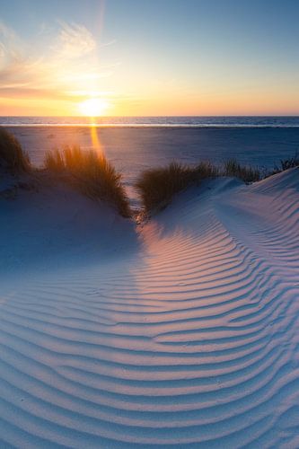 Fingerprint van Jeroen Segers