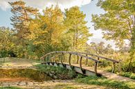 Bogenbrücke Landgoed Lankheet | Herbstbild Twente von Wandeldingen Miniaturansicht