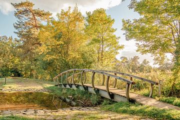 Bogenbrücke Landgoed Lankheet | Herbstbild Twente