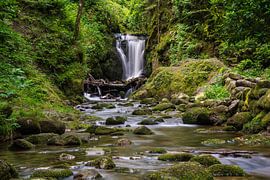 Geroldsauer Wasserfall von Monika Scheurer