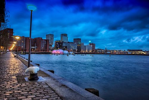 Rotterdam Avond Foto