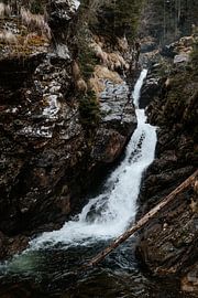 Waterfall - landscape print vertical waterfall wilderness by sonja koning