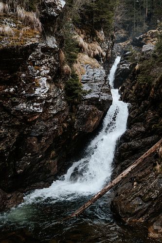 Waterfall - landscape print vertical waterfall wilderness
