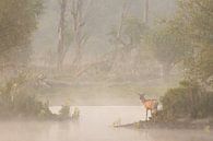 Rothirsch bei Nebel in einem Teich. von Andius Teijgeler Miniaturansicht
