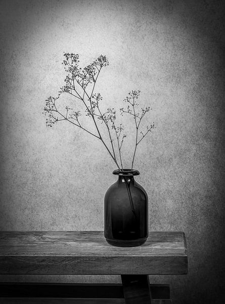Stilleben Griffkraut in Vase in Schwarz-Weiß von Marjolein van Middelkoop