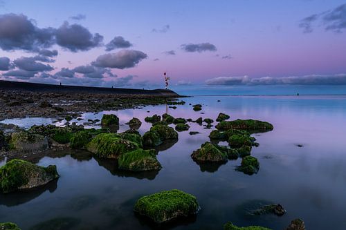 Waddenzee en pastel kleuren