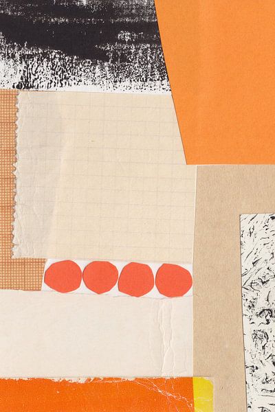 Colour Collection - Tan Hide by Alisa Galitsyna
