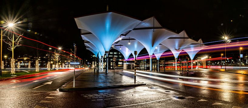 Busstation Leidsche Rijn Centrum van Ton de Koning