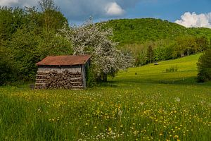 Frühlingswiese in der Rhön von Holger Spieker