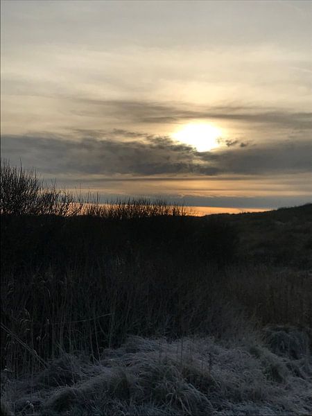 !!! hihi by Jill Couwenberg