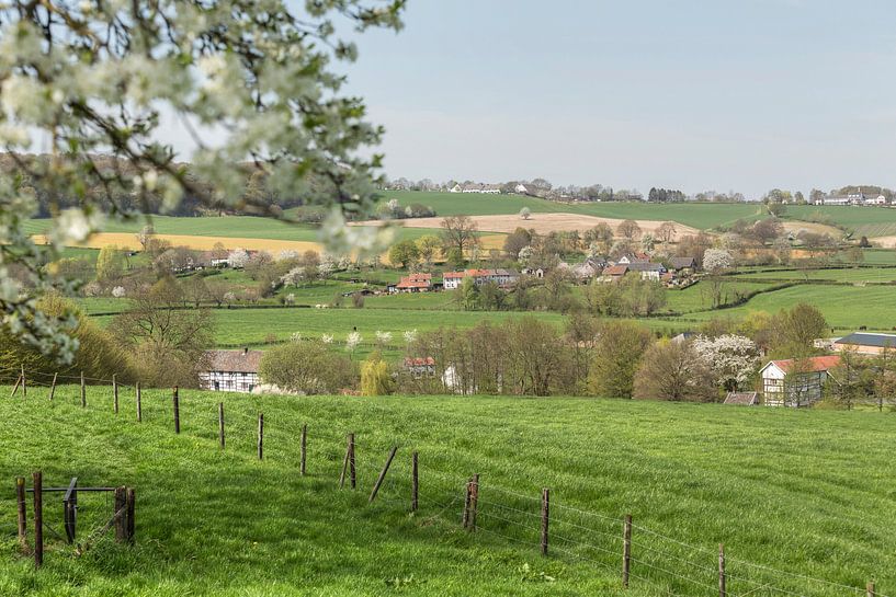 Bloesemtijd in Zuid-Limburg par John Kreukniet