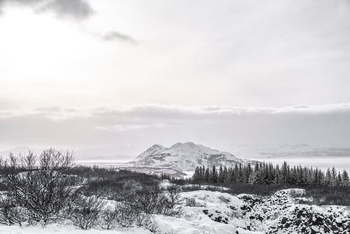Sneeuw wit minimalistic landschap winter