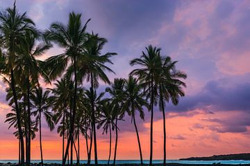 Zonsondergang bij Puuhonua o Honaunau, Hawaii van Henk Meijer Photography