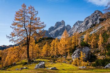 Berglandschap "Herfst in de Oostenrijkse Alpen" van Coen Weesjes