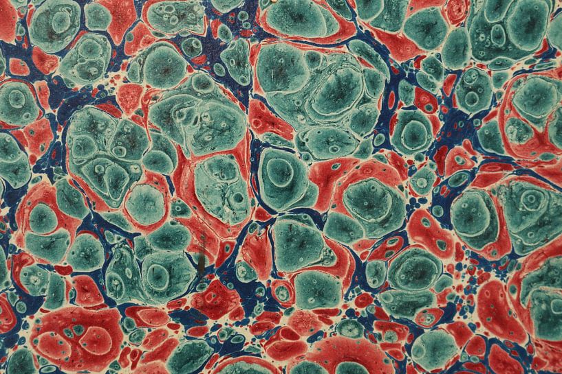 Digital art pattern colored marbled color cells by Michael Godlewski