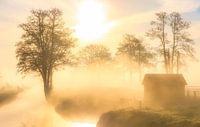 Ein wunderschöner Nebel hängt über der Landschaft bei Landgoed Nienoord in Leek. von Bas Meelker Miniaturansicht