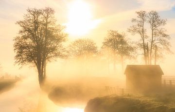Ein wunderschöner Nebel hängt über der Landschaft bei Landgoed Nienoord in Leek. von Bas Meelker